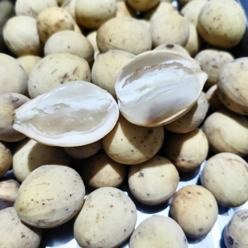 

Buah Duku Palembang Asli Buah Segar Ibaza fruitsBOX