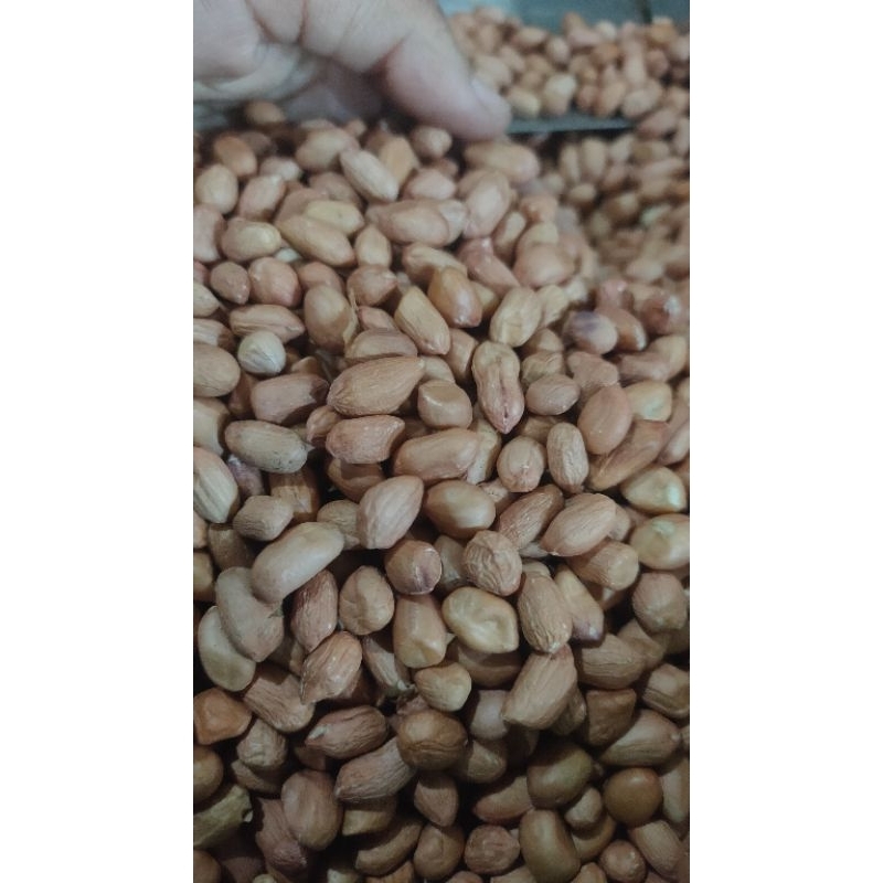 

INSTAN kacang tanah bali kacang tanah kupas kacang