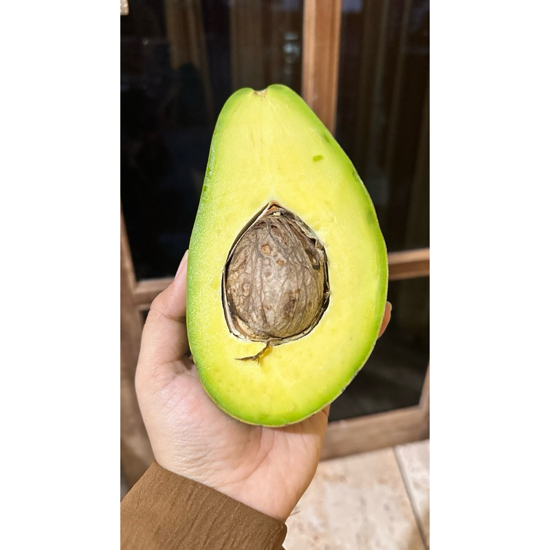 

Alpukat Aligator 1 kg ( berat buah 600-1.000 gram )