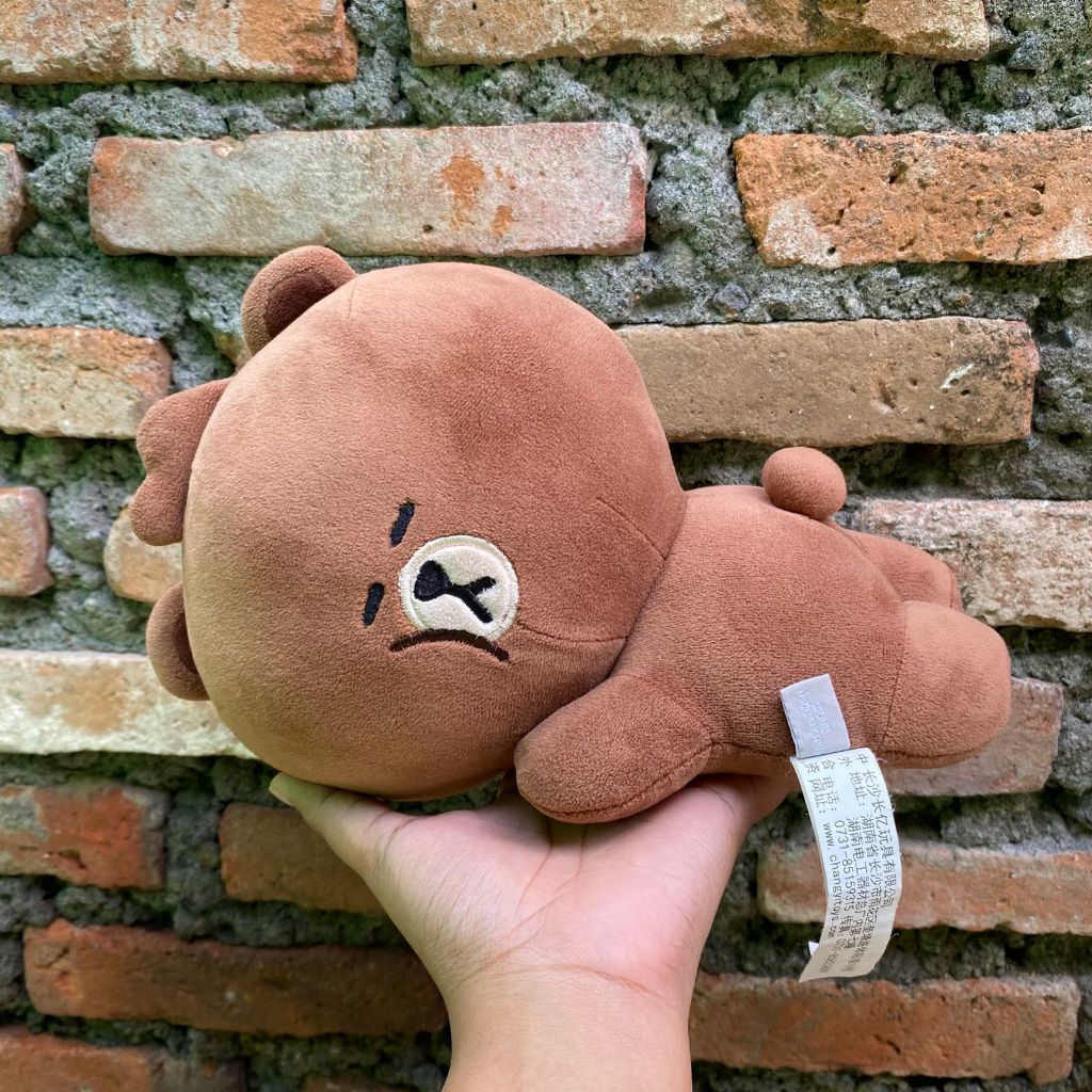 Brown Line Friends Sleepy