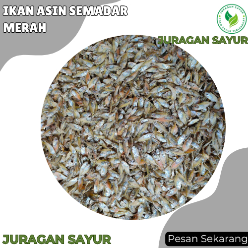 

Ikan Asin Semadar Merah - Ikan Asin Semadar Super - Juragan Sayur