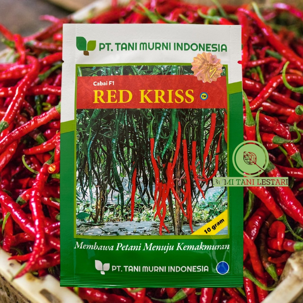 Benih Cabe Keriting F1 RED KRISS 10gram | Benih Cabai Keriting TM RED KRISS