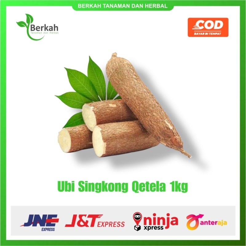 

Umbi Singkong Qetela Segar 1kg Langsung dari Kebun