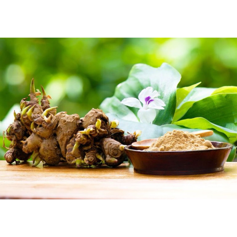 

KENCUR REMPAH 1000gr FRESH