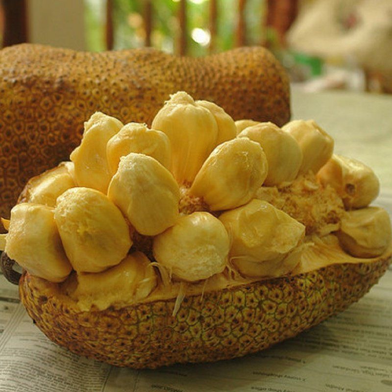 

Cempedak / Buah Cempedak Utuh