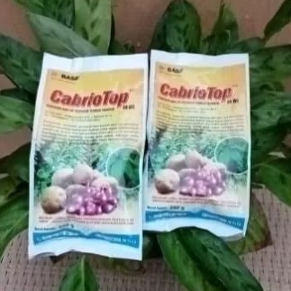CabrioTop 250 gram