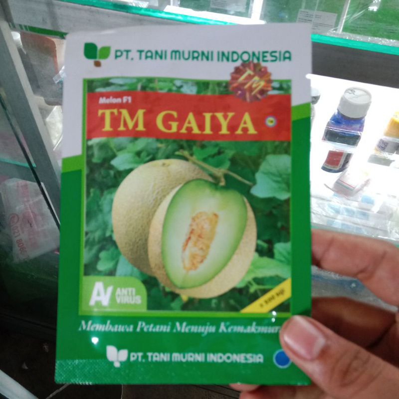 Benih Melon Hibrida TM Gaiya 500 Biji Kemasan Pabrik