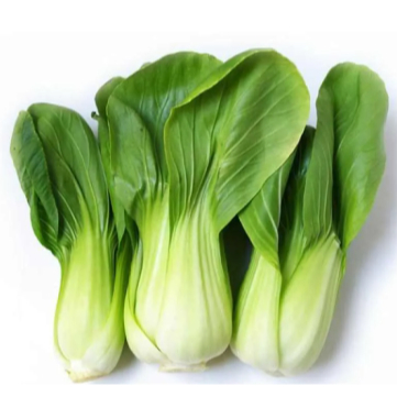 

Sayur Pakcoy Pakchoy Bok Choy Fresh Segar 100 Gram