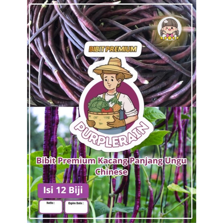 Bibit Premium Kacang Panjang Ungu | Biji Benih Kacang Panjang Ungu