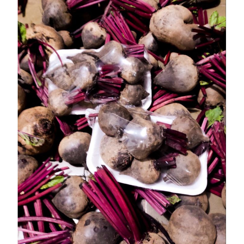 

Buah bit / bit root
