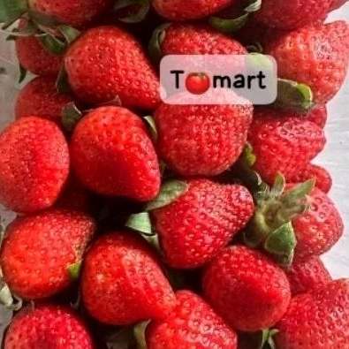 

strowbery fresh ciwidey boleh beli 5000