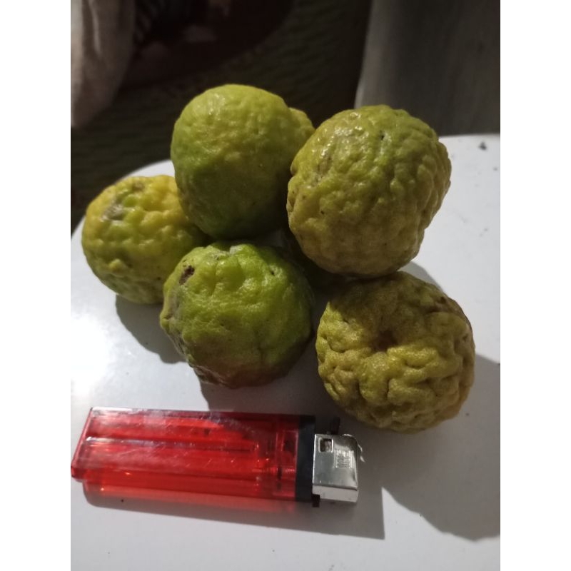 

jeruk purut tua kuning 1kg