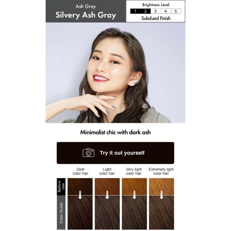 Liese Bubble Hair Color Foam Silvery Ash Gray