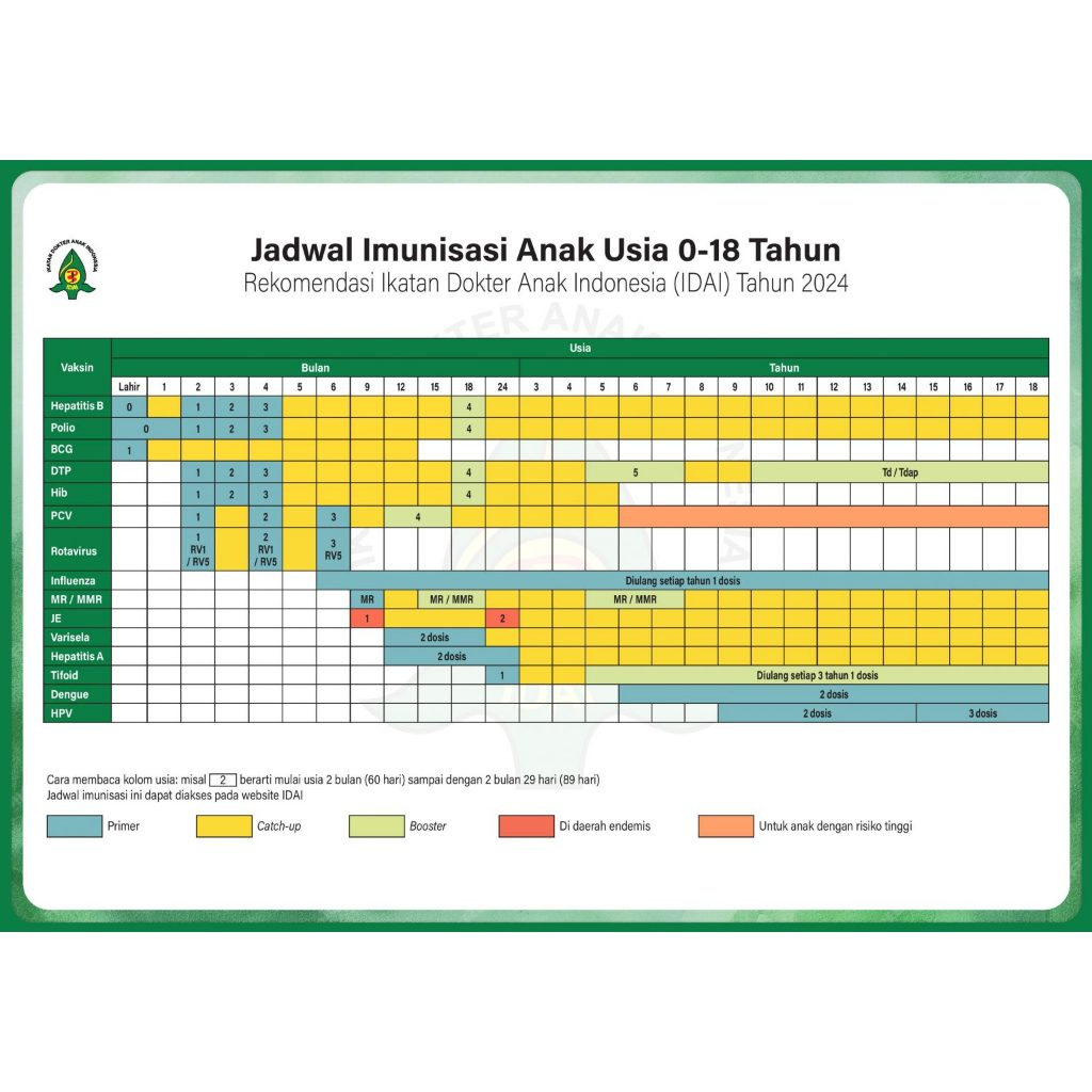 JADWAL IMUNISASI ANAK 1- 18 TAHUN TERBARU 2024 DARI IDAI