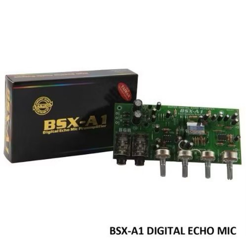 BSX-A1 BELL BGR KIT Pre-amp Echo Mic Repeater Digital Echo Mic Amplifier Audio Tone Control BSX A1 2