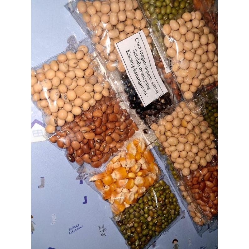 

BIJI-BIJIAN PRAKARYA KACANG-KACANGAN