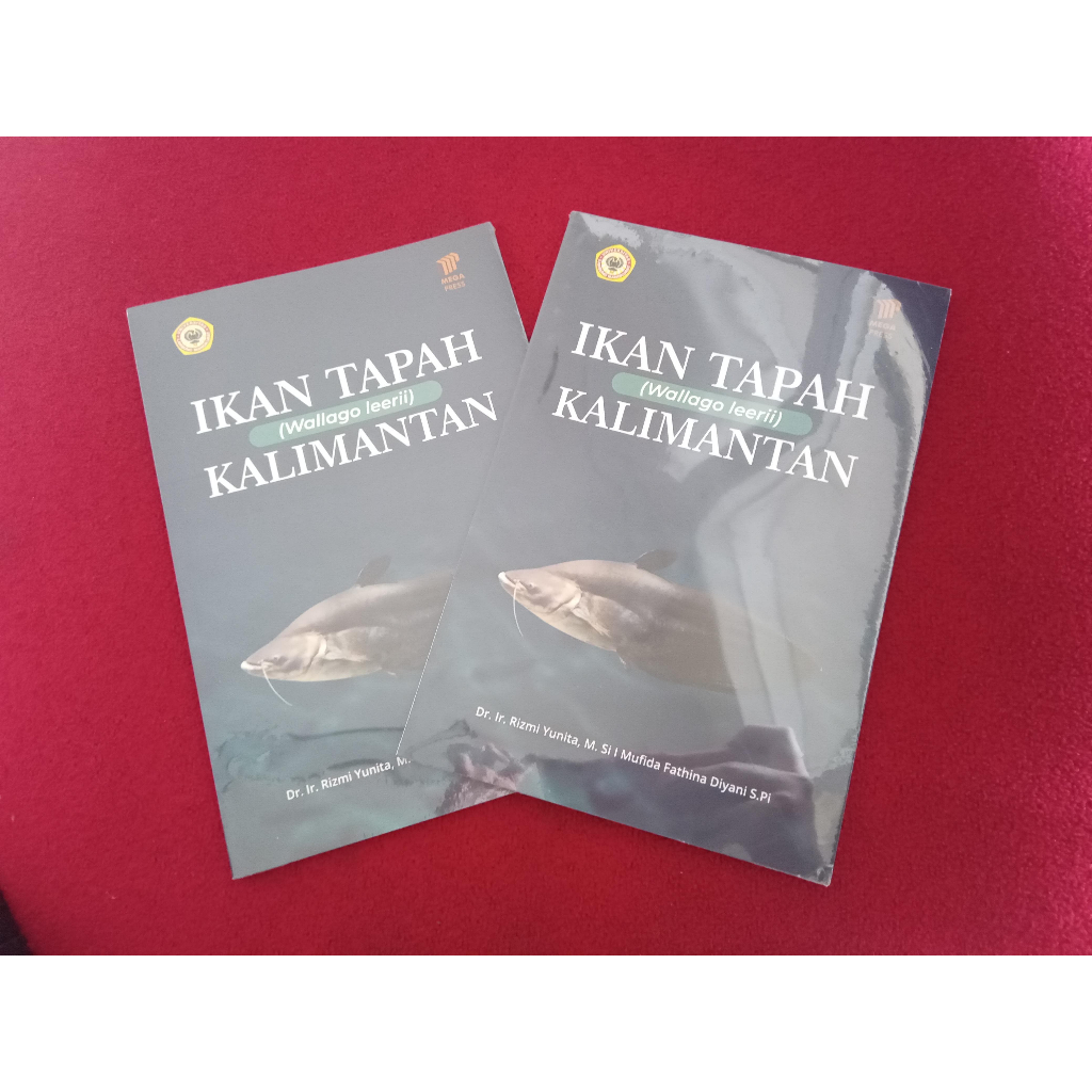 IKAN TAPAH (Wallago leerii) KALIMANTAN