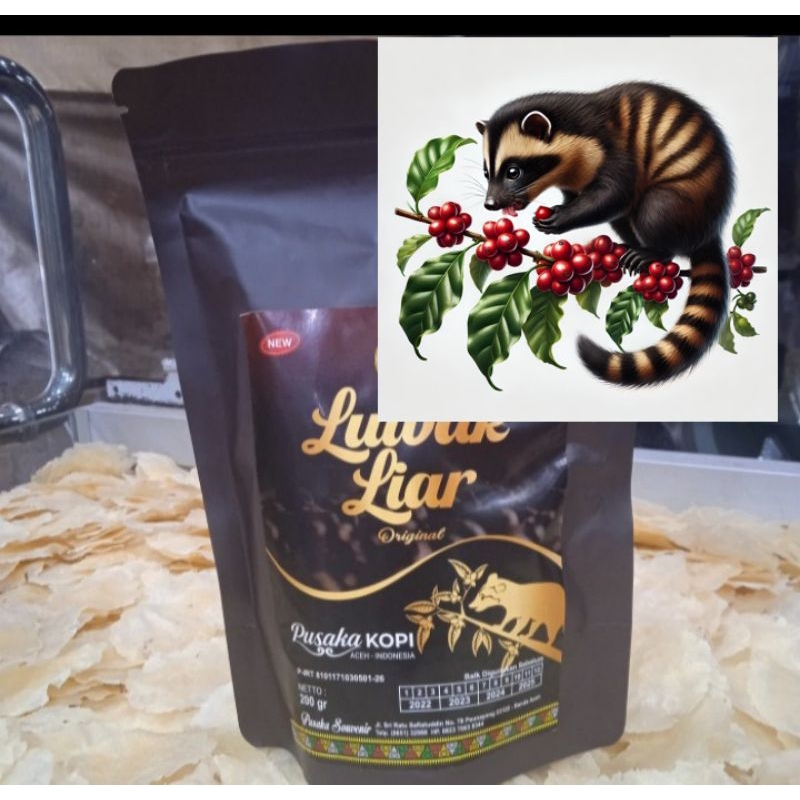 

Kopi Luwak Gayo @200gram