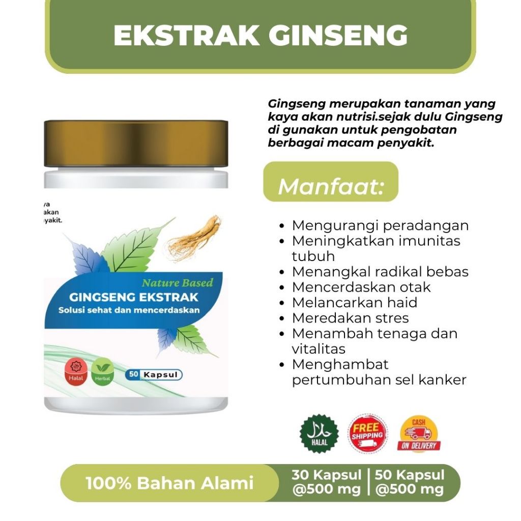 

GINGSENG EKSTRAK||Pembersih paru-paru kotor,melancarkan haid,mencerdaskan otak