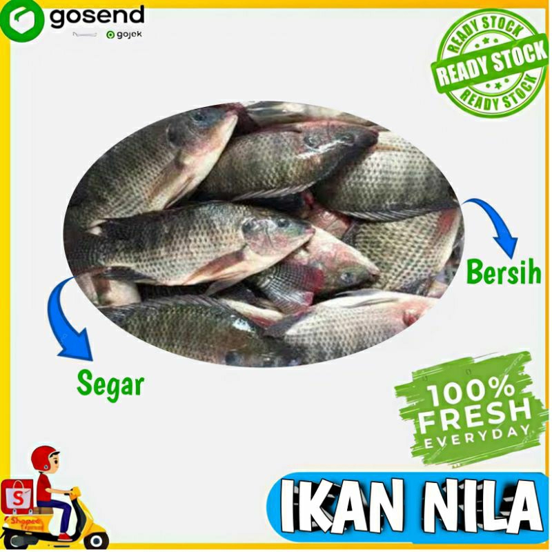 

Ikan Nila Segar - Sayur Segar Instant Palembang