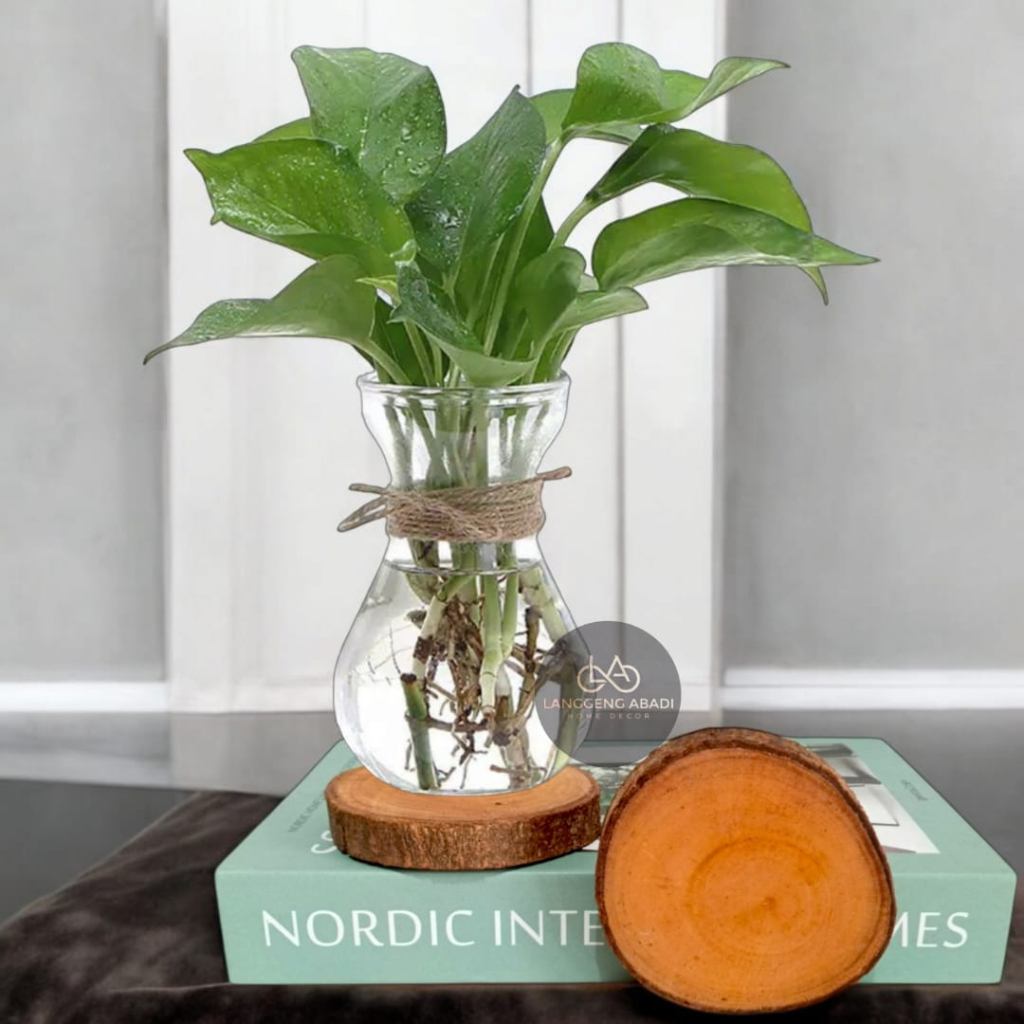 [ 1 PAKET ] Vas Kaca Bening Dan Tatakan Kayu | Vas Bunga Kaca Estetik | Vas Kaca Murah | Vas Kaca Bu