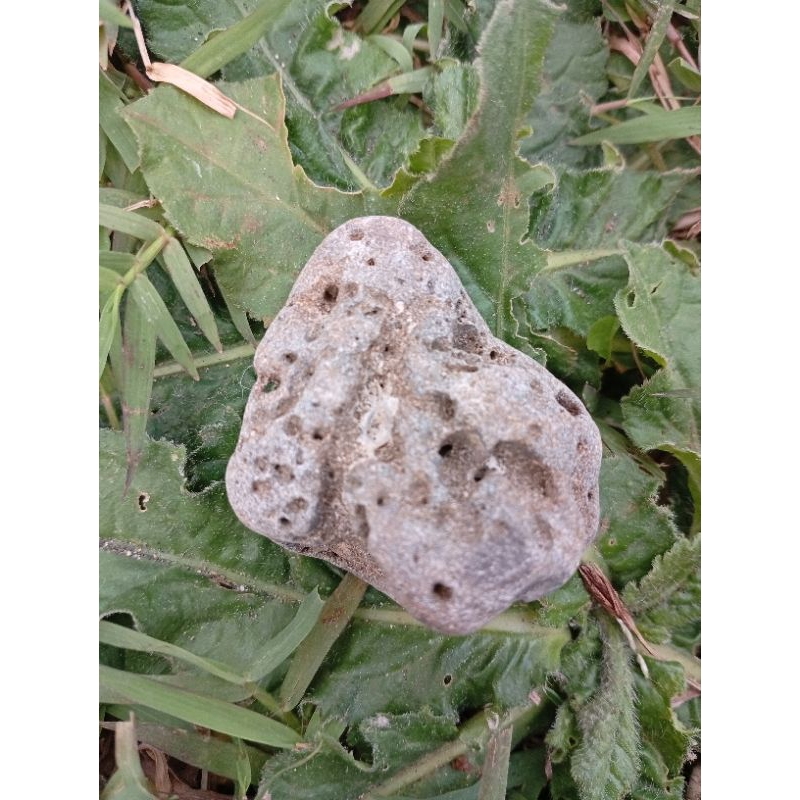 batu meteor unik antik