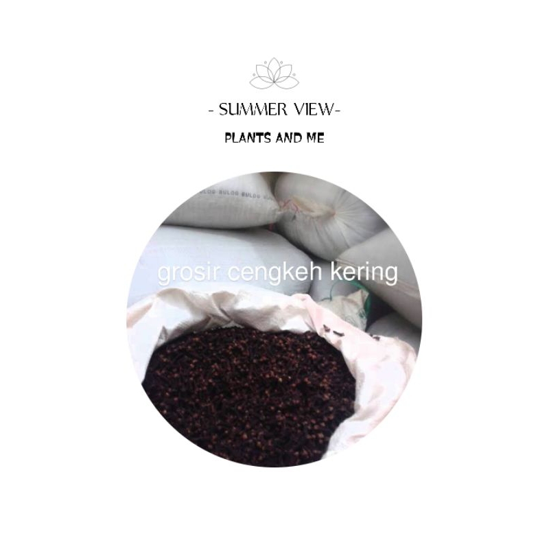 

cengkeh kering 10 kg patah korek asli petani