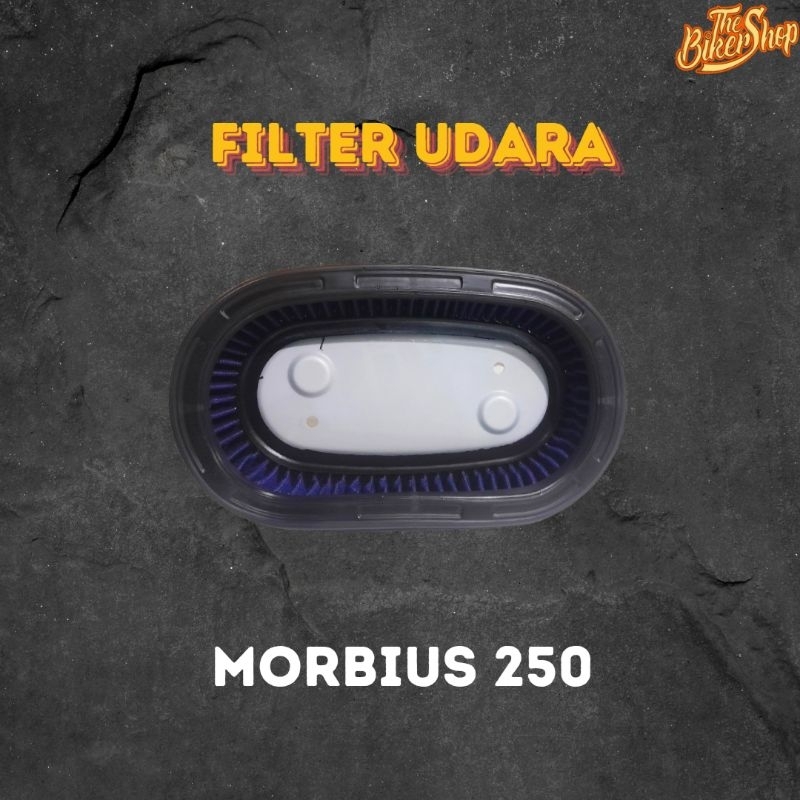 Filter Morbius 250 original sparepart filter element