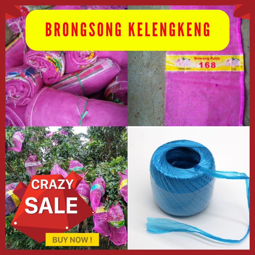 TERLARIS. Isi 10 Brongsong Kelengkeng Bekas, Pembungkus Buah Kelengkeng + Tali
