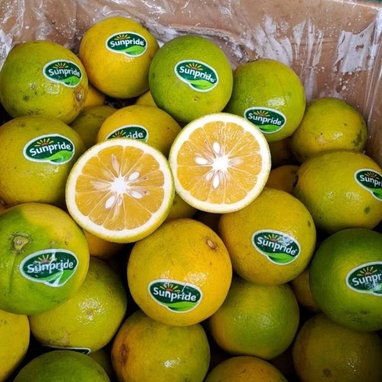 

Buah Jeruk Baby Sunpride Curah Jual Per 1 Dus karton