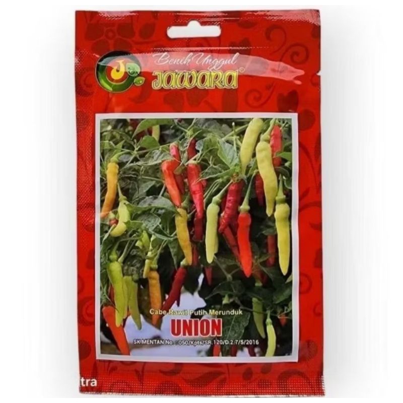 benih bibit cabe rawit putih merunduk union 10 gr cabe rawit setan