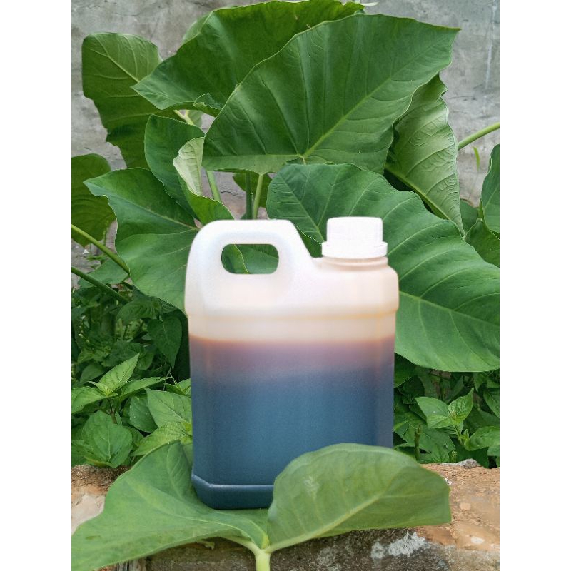 

madu 1 kg khusus