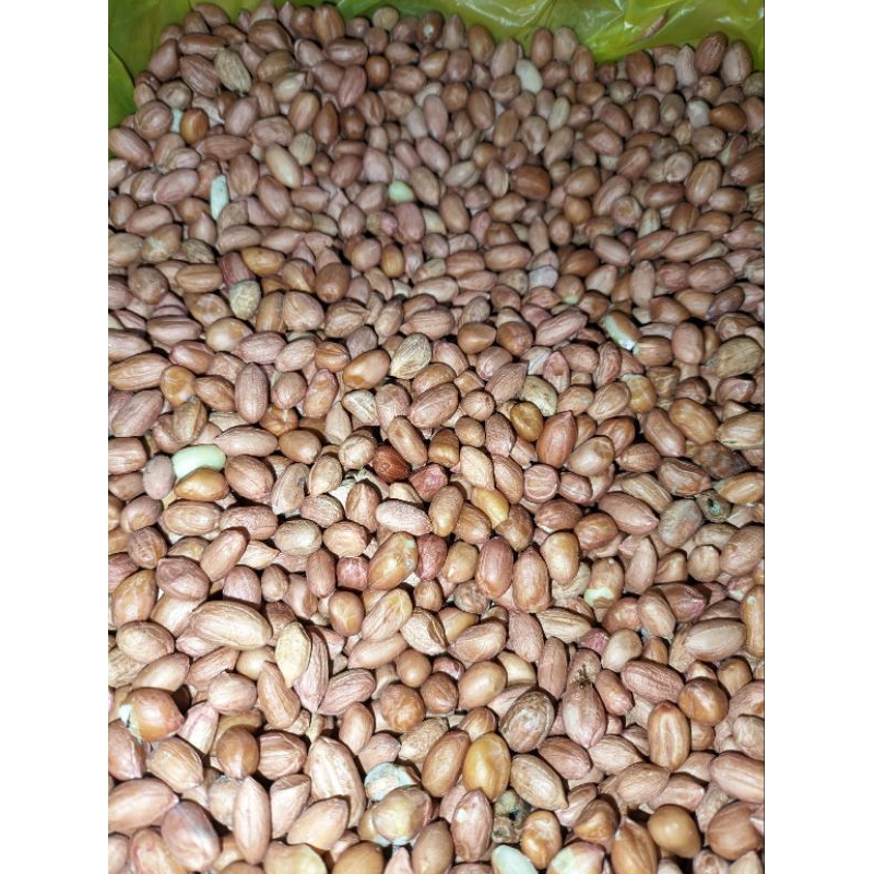 

Kacang Tanah 250 gram