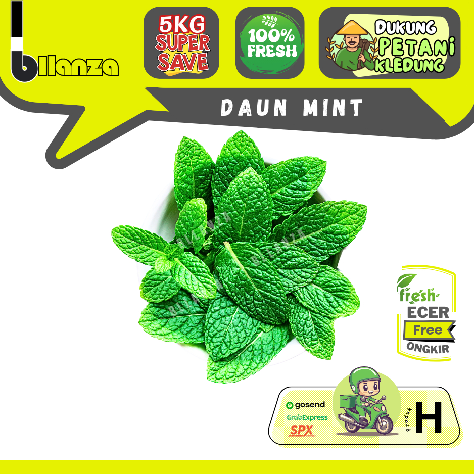 

Bllanza | Daun Mint — Sahabat Makan Sayur ECER (H)