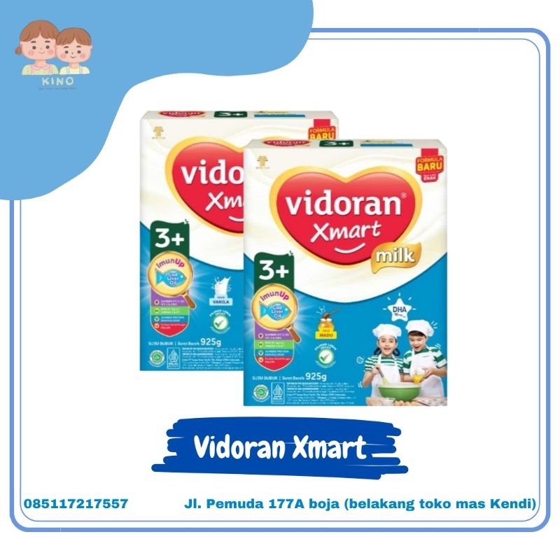 Vidoran Xmart 3+