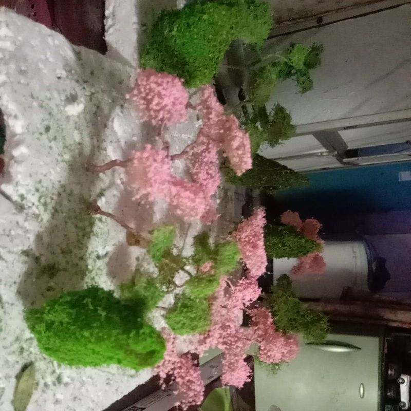 maket pohon sakura