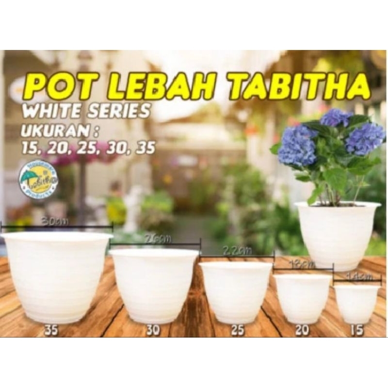 POT LEBAH PUTIH MEREK TABITHA - DIAMETER ASLI 25 - 6 PCS POT BATAM