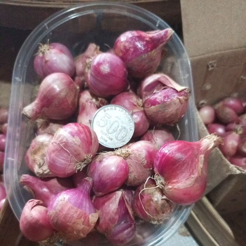 

Bawang Merah Besar kualitas super