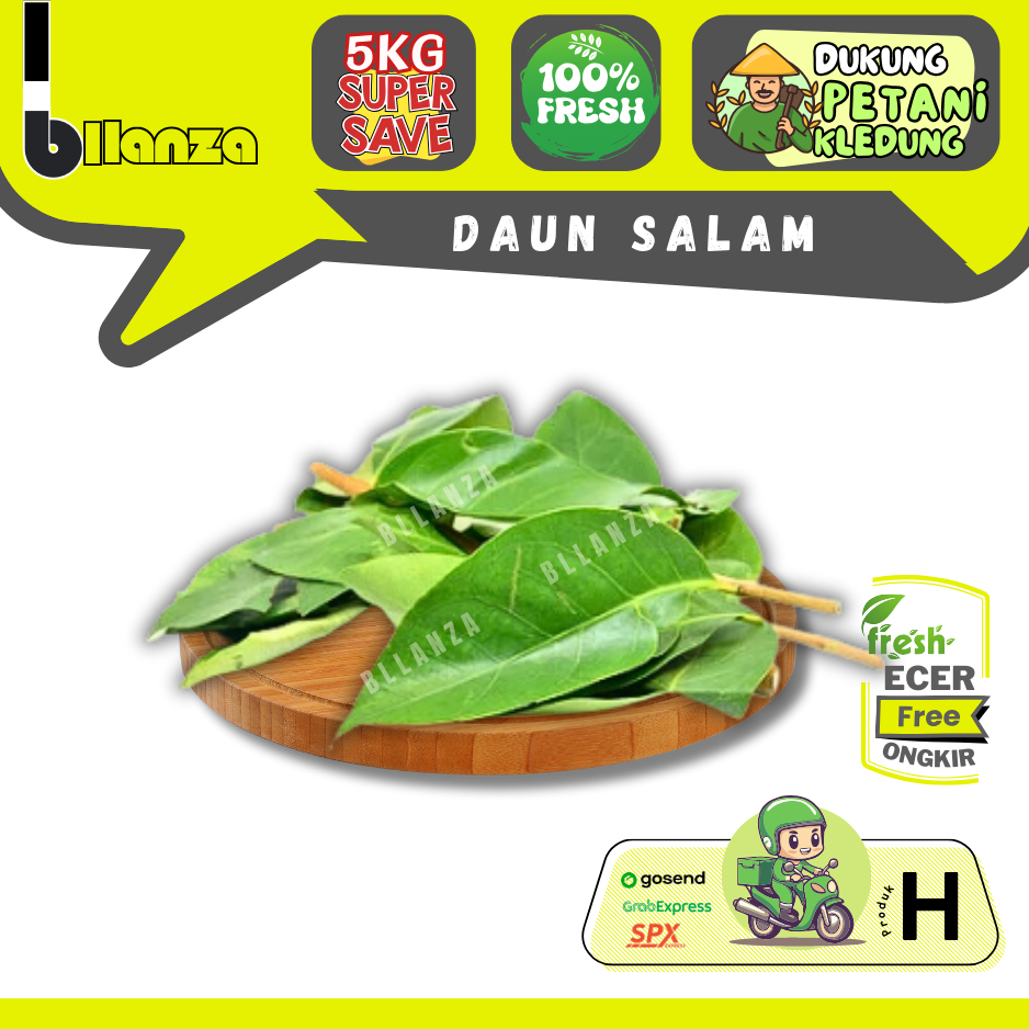 

Bllanza | Daun Salam — Sahabat Makan Sayur ECER (H)