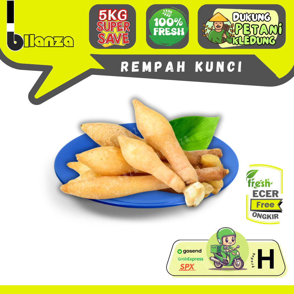 

Bllanza | Rempah Kunci / Temu Kunci — Sahabat Makan Sayur ECER (H)