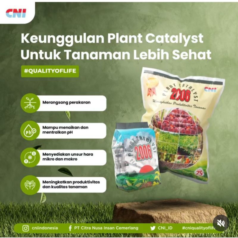 CNI Plant Catalyst 2006