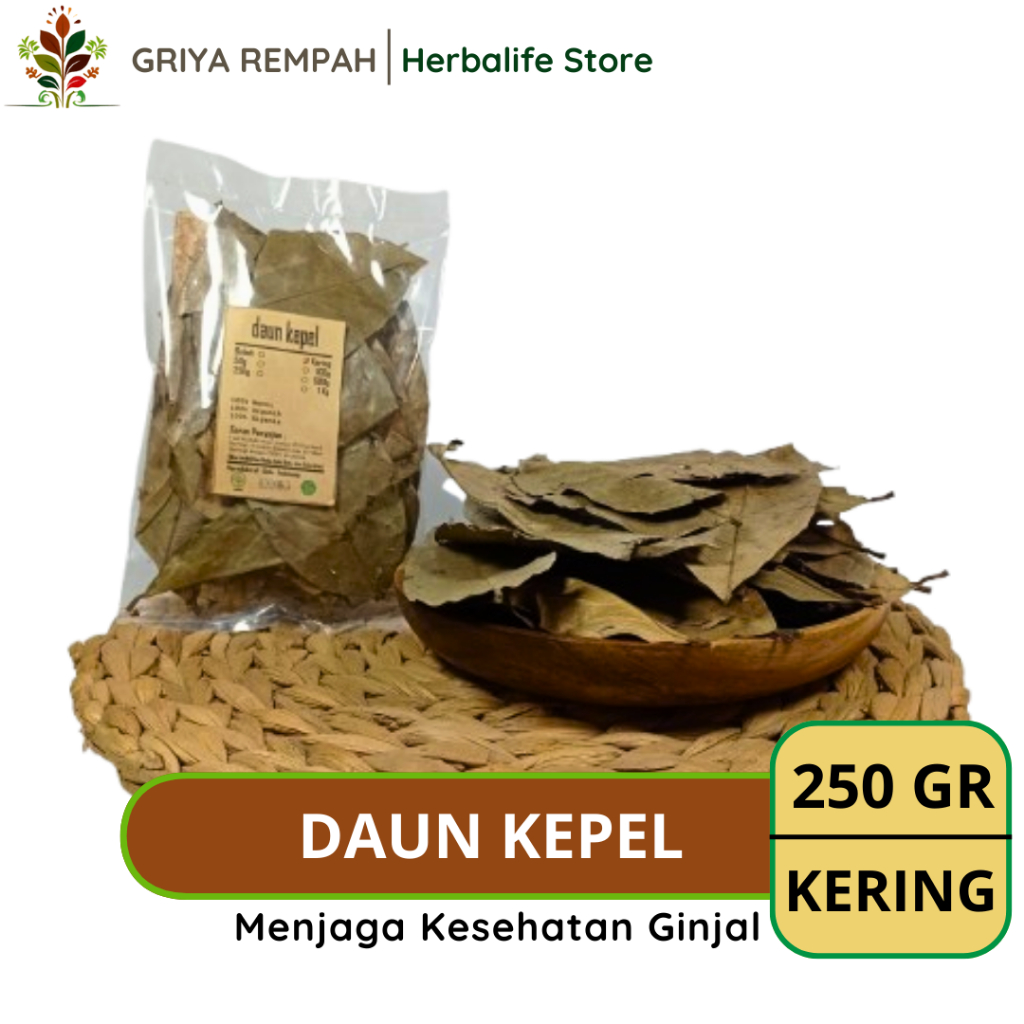

DAUN KEPEL KERING 250 GRAM Rempah Herbal Simplisia Alami untuk Kesehatan Ramuan Jamu Tradisional & Perawatan Tubuh Stelechocarpus burahol
