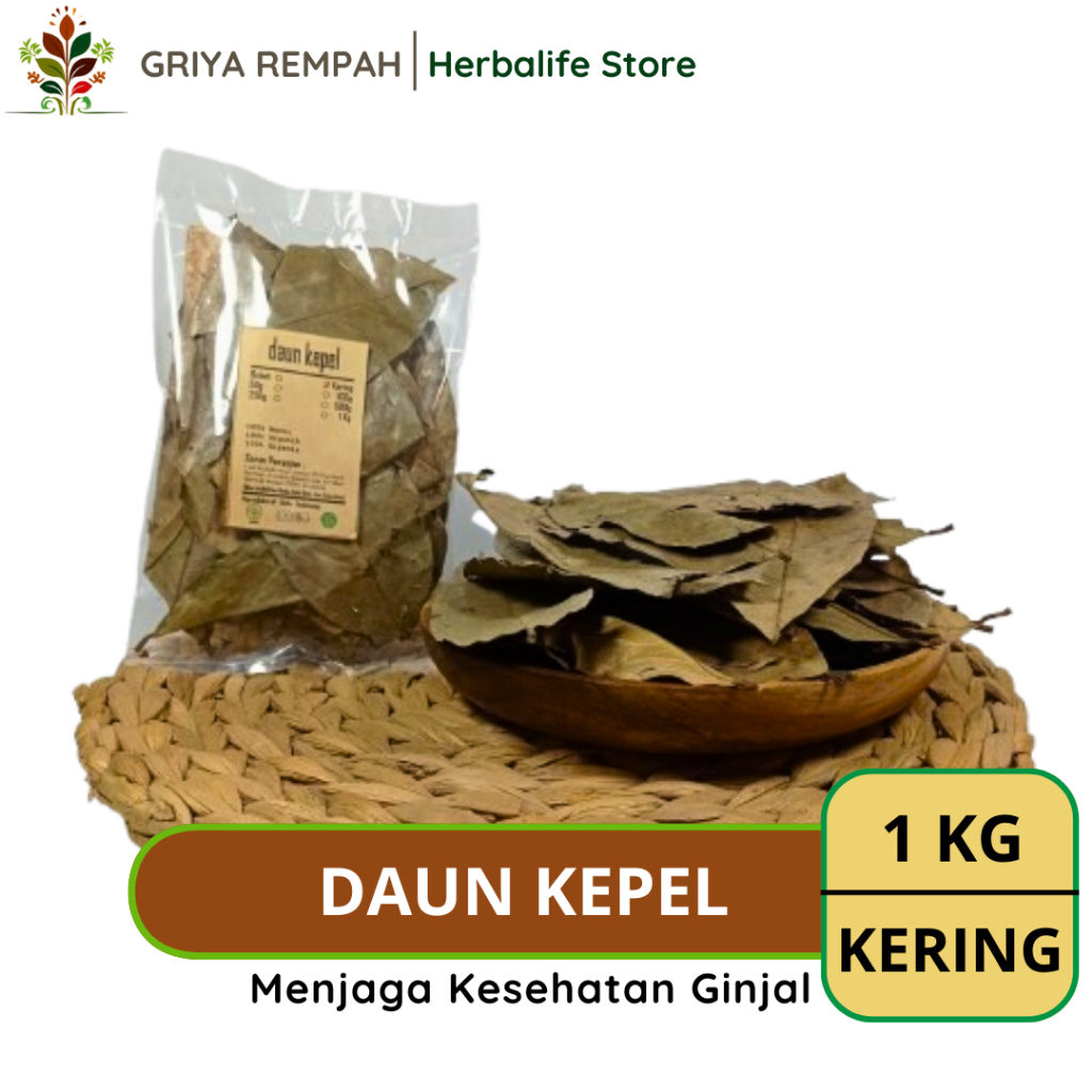 

DAUN KEPEL KERING 1 KG Rempah Herbal Simplisia Alami untuk Kesehatan Ramuan Jamu Tradisional & Perawatan Tubuh Stelechocarpus burahol