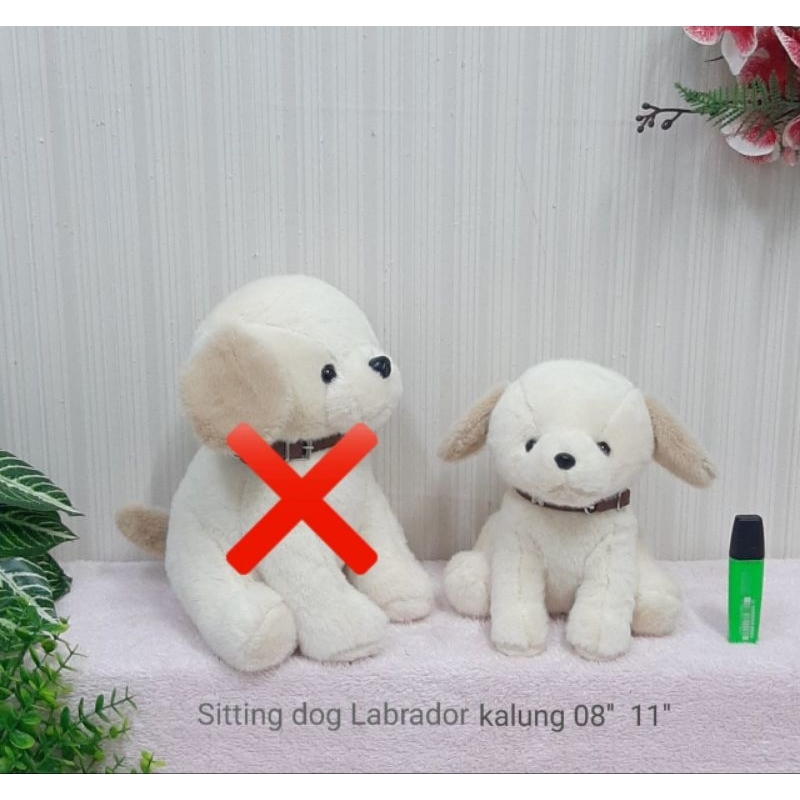 Boneka Anjing Labrador Dog 20 cm