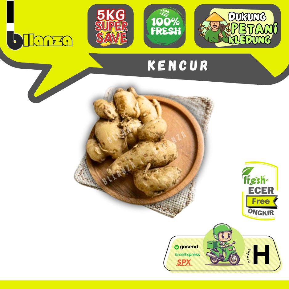 

Bllanza | Kencur — Sahabat Makan Sayur ECER (H)