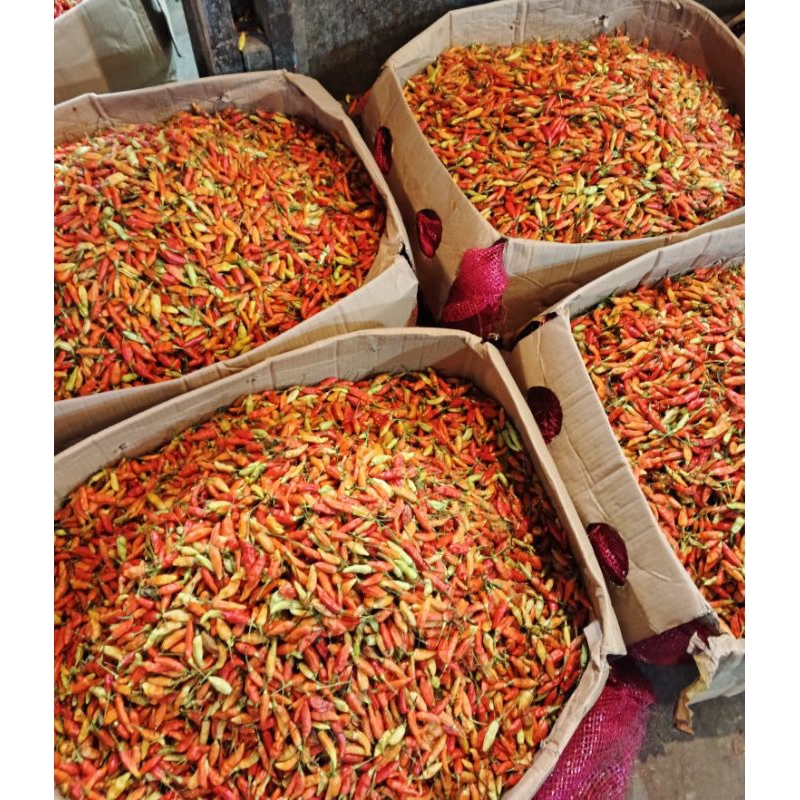 

Cabai Rawit Merah 100g