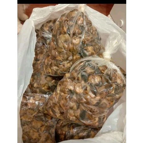 

daging bekicot mentah frozen berat 1 kg murah