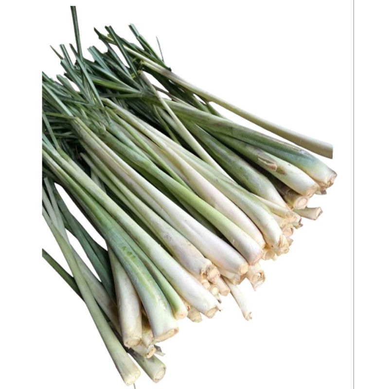 

INSTAN - SERE BUMBU DAPUR FRESH 250 - 500GRAM