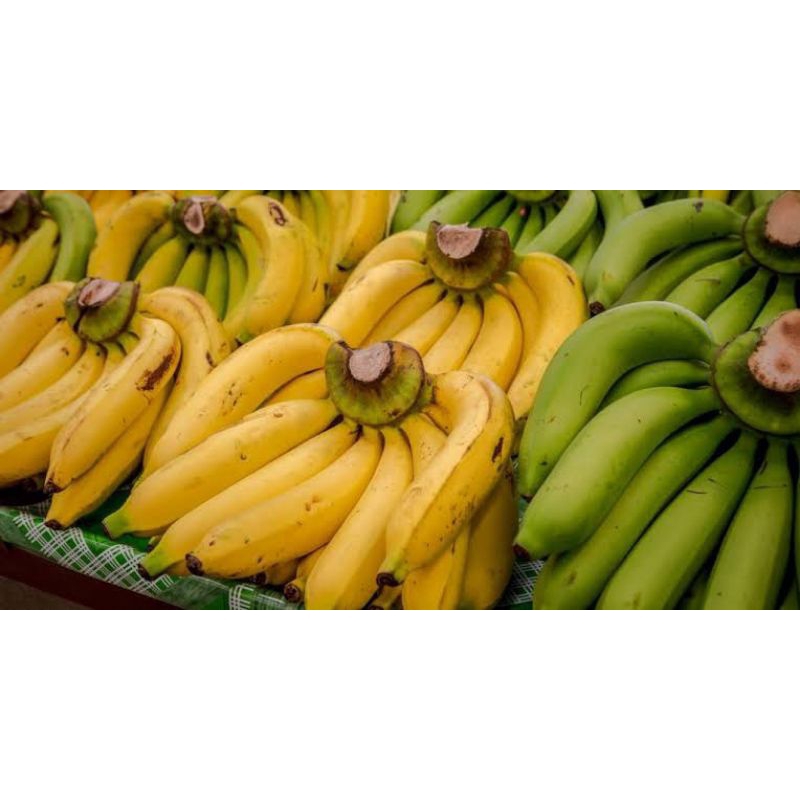 

BUAH PISANG ULI MADU,1KG