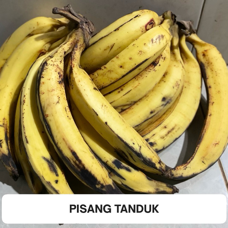 

Pisang tanduk
